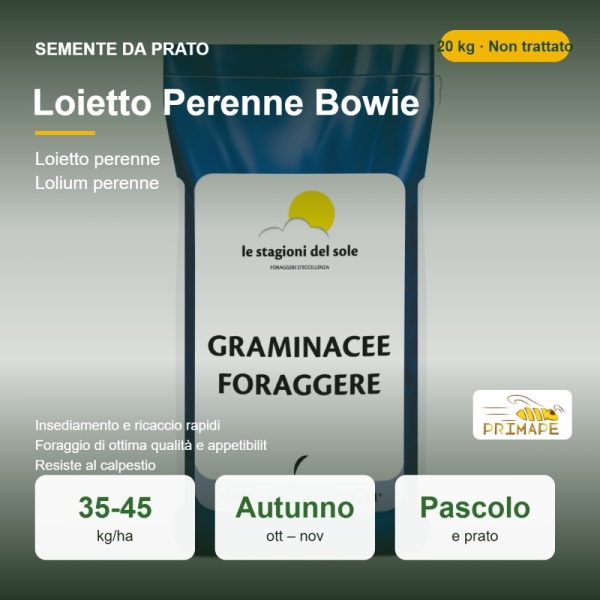 Semi di Loietto Perenne Bowie – 20 kg – Pascolo e Prato – Non...