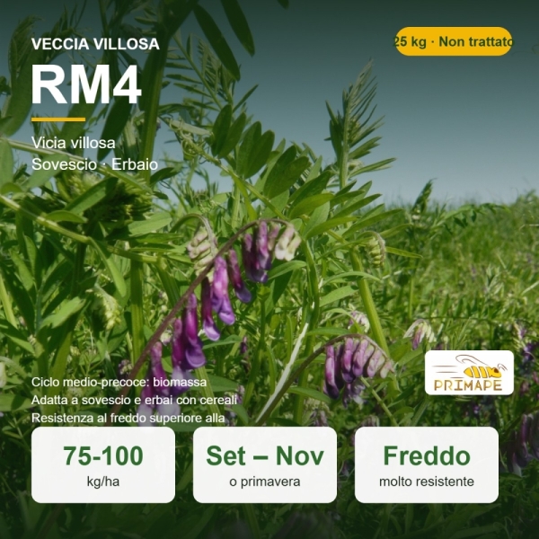 Semi di Veccia Villosa RM4 – 25 kg – Sovescio ed Erbaio – Non...